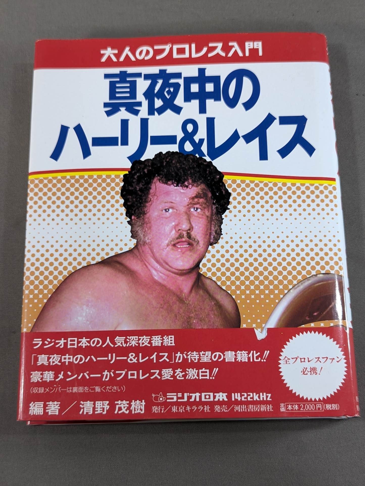 大人のプロレス入門 真夜中のハーリー&レイス