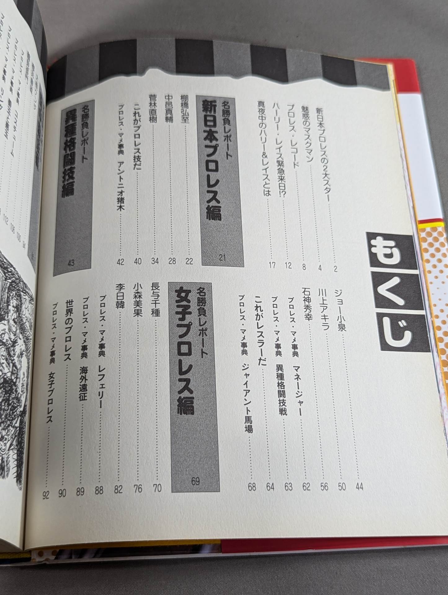 大人のプロレス入門 真夜中のハーリー&レイス