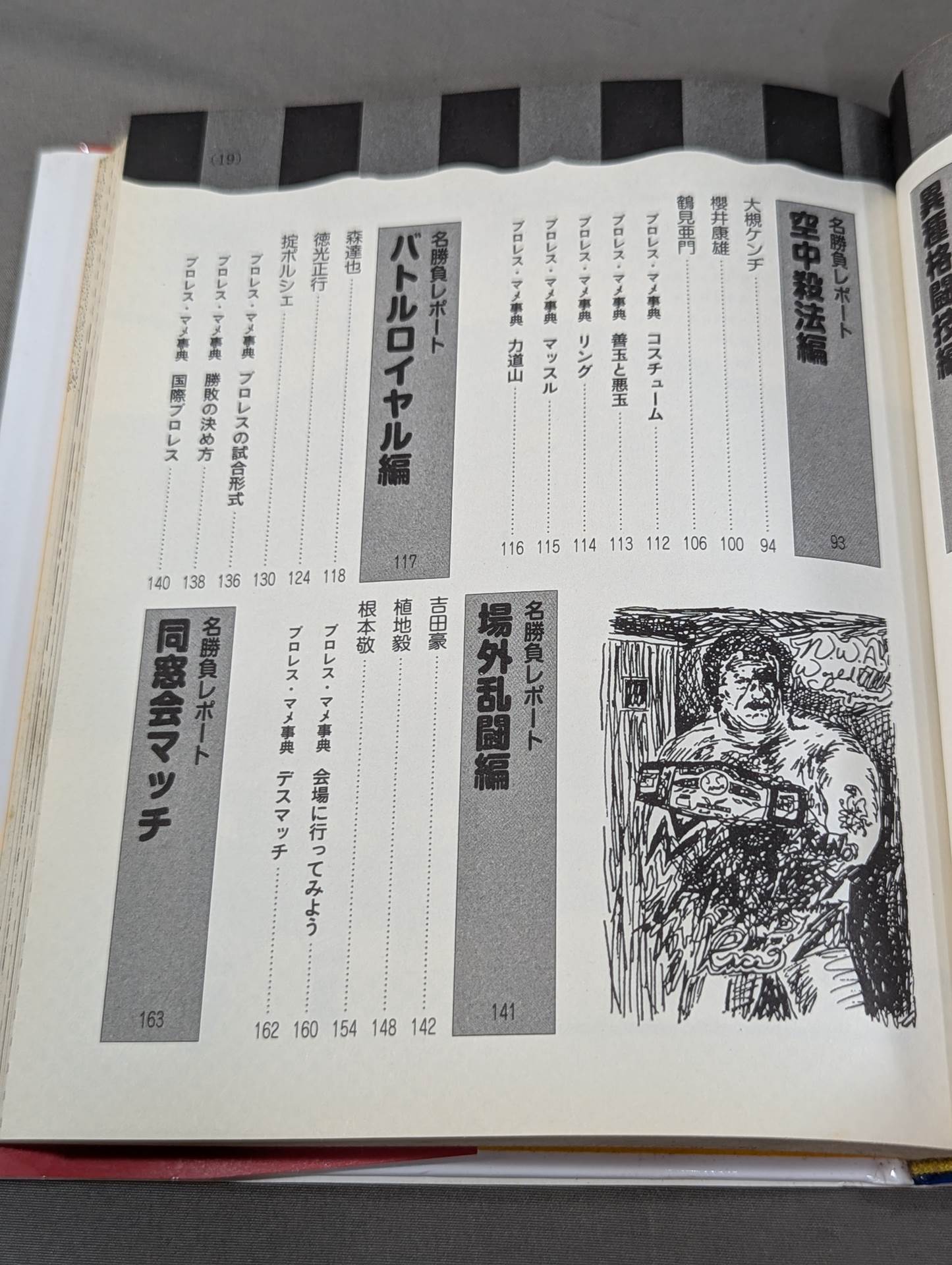 大人のプロレス入門 真夜中のハーリー&レイス