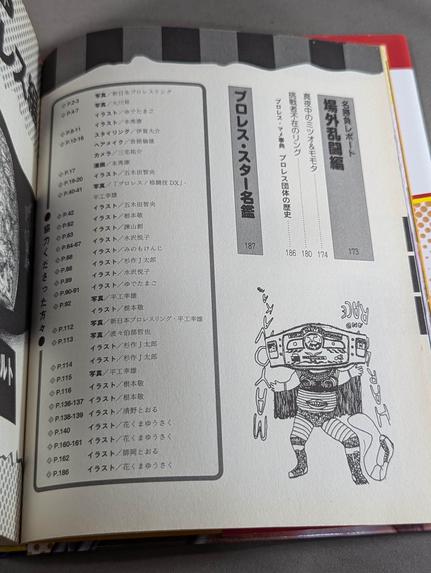 大人のプロレス入門 真夜中のハーリー&レイス