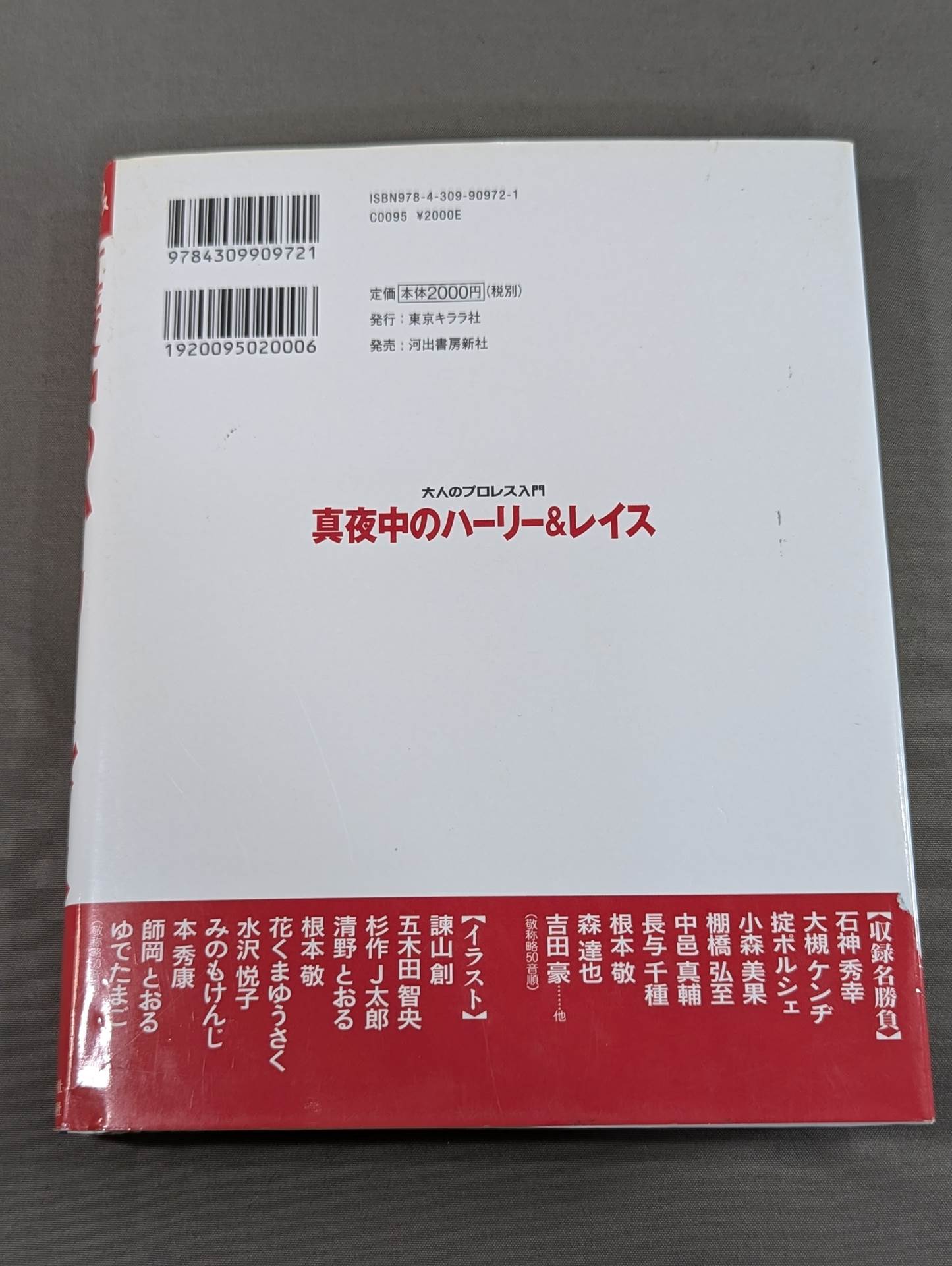 大人のプロレス入門 真夜中のハーリー&レイス