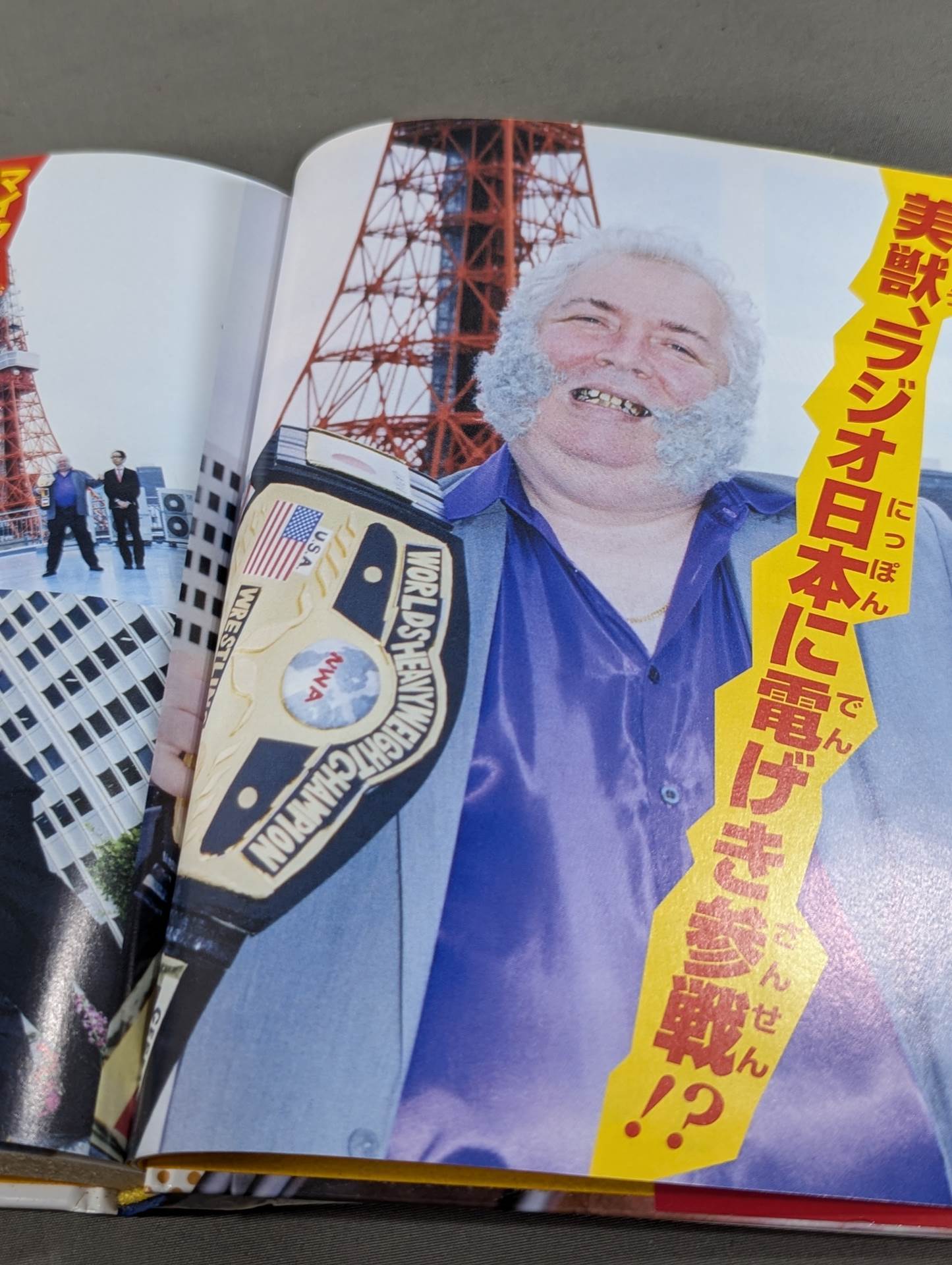 大人のプロレス入門 真夜中のハーリー&レイス