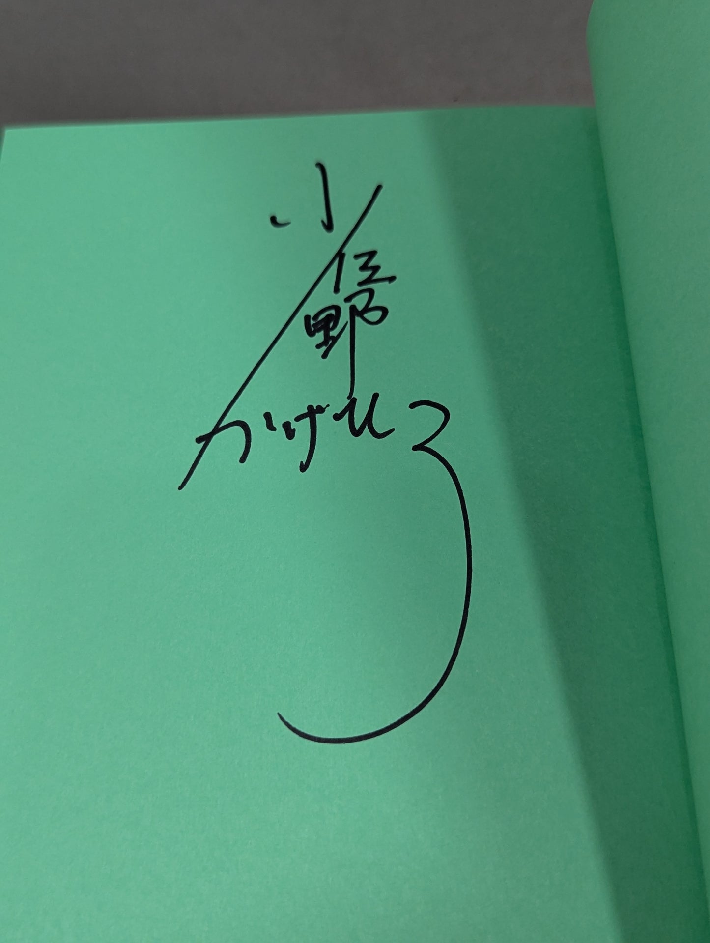 【著者 直筆サイン入り】至高の三冠王者 三沢光晴