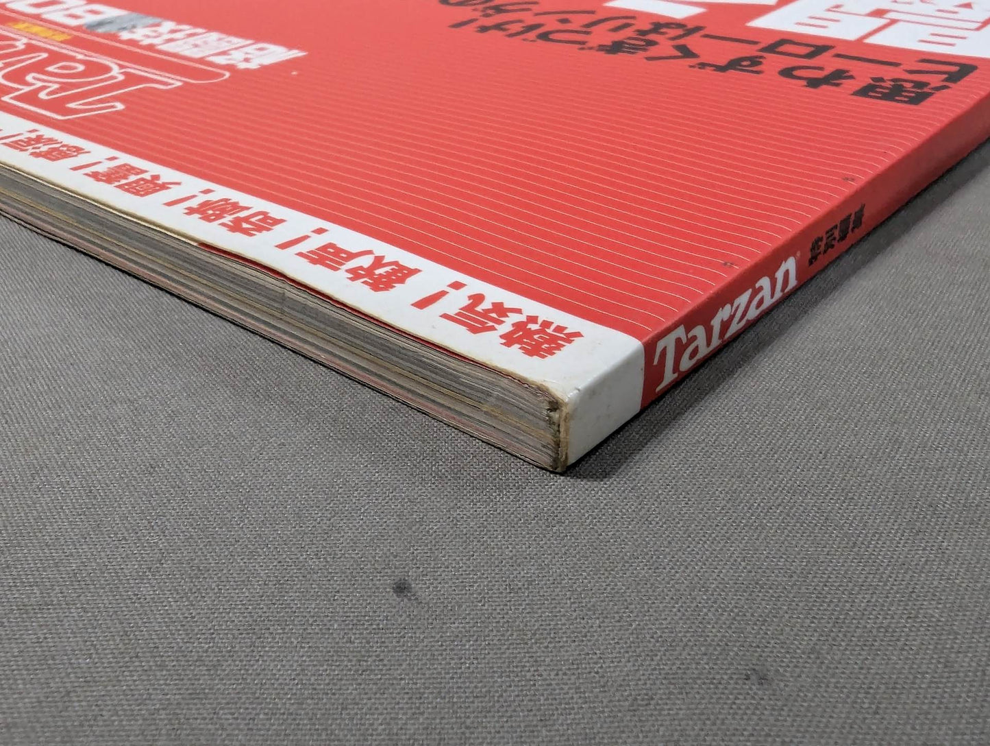 格闘技BOOK 闘うココロ 闘うカラダ