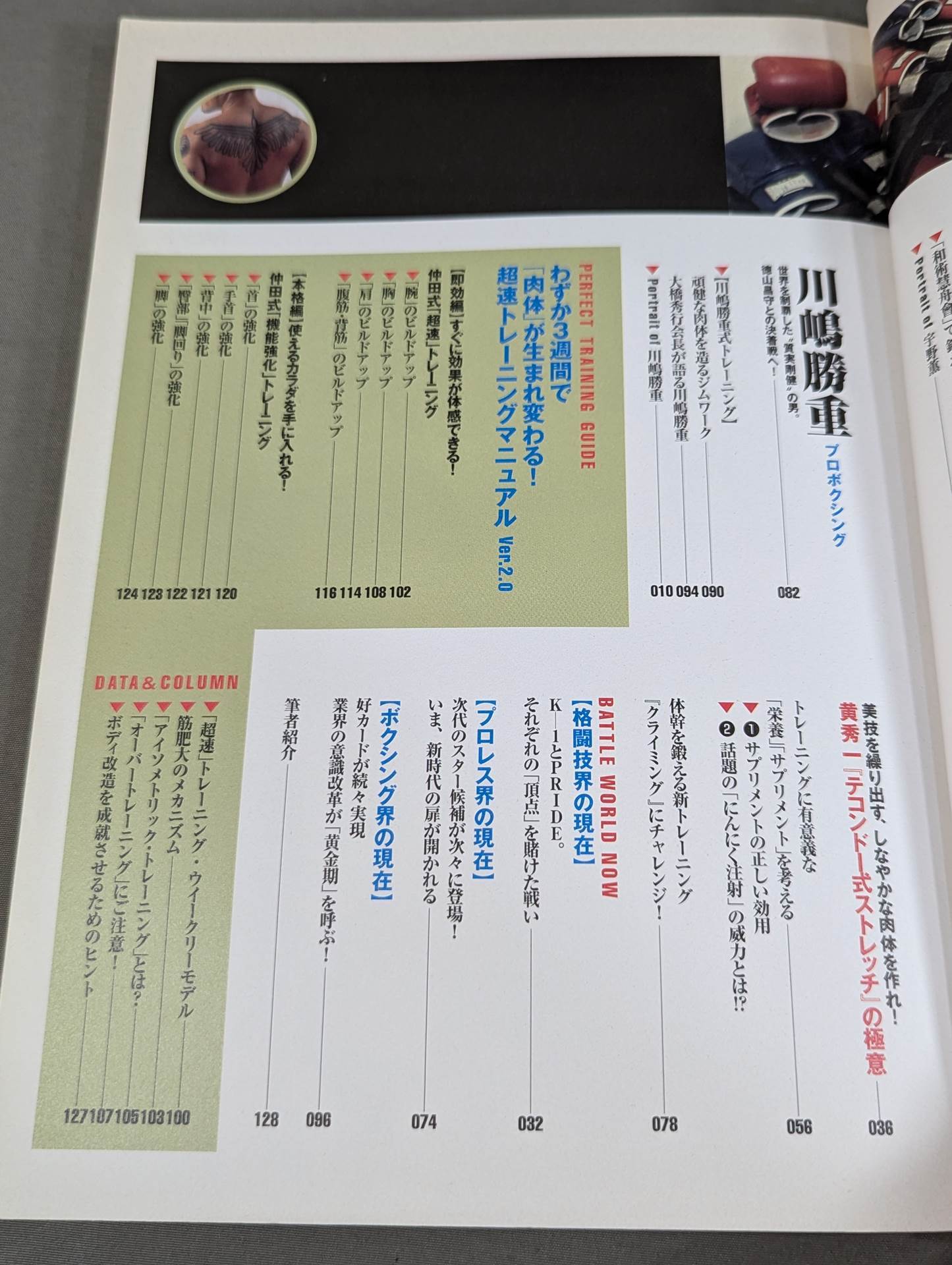 別冊宝島1144 究極!男のボディ改造術