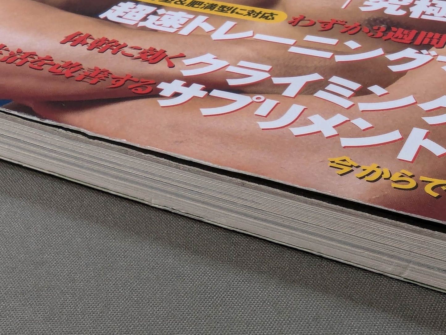 別冊宝島1144 究極!男のボディ改造術