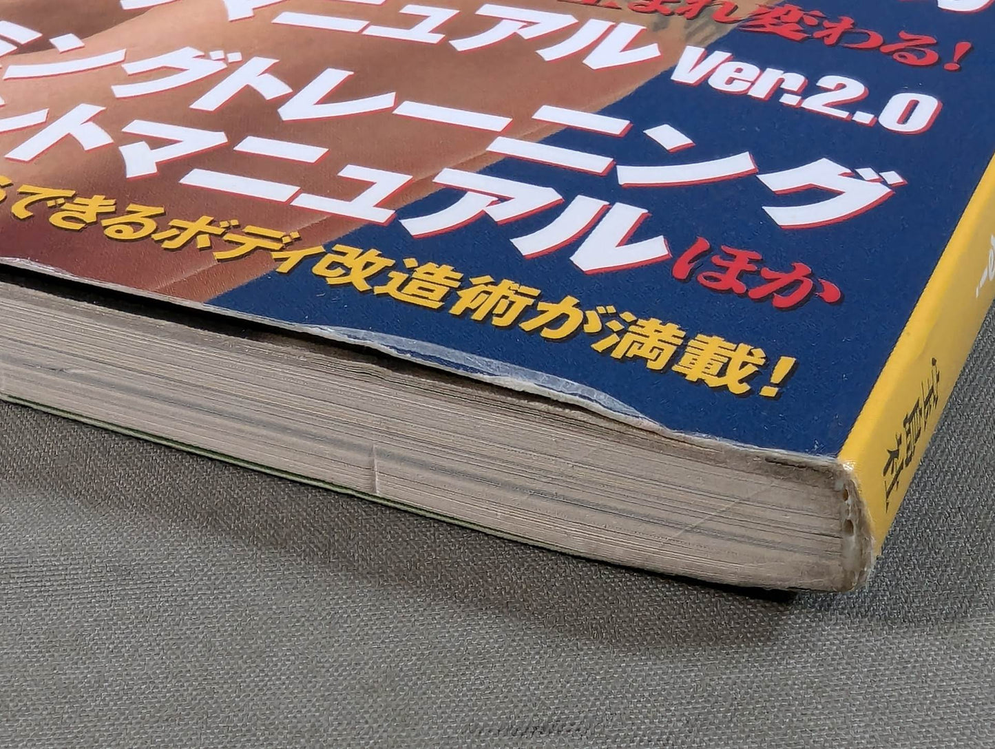 別冊宝島1144 究極!男のボディ改造術