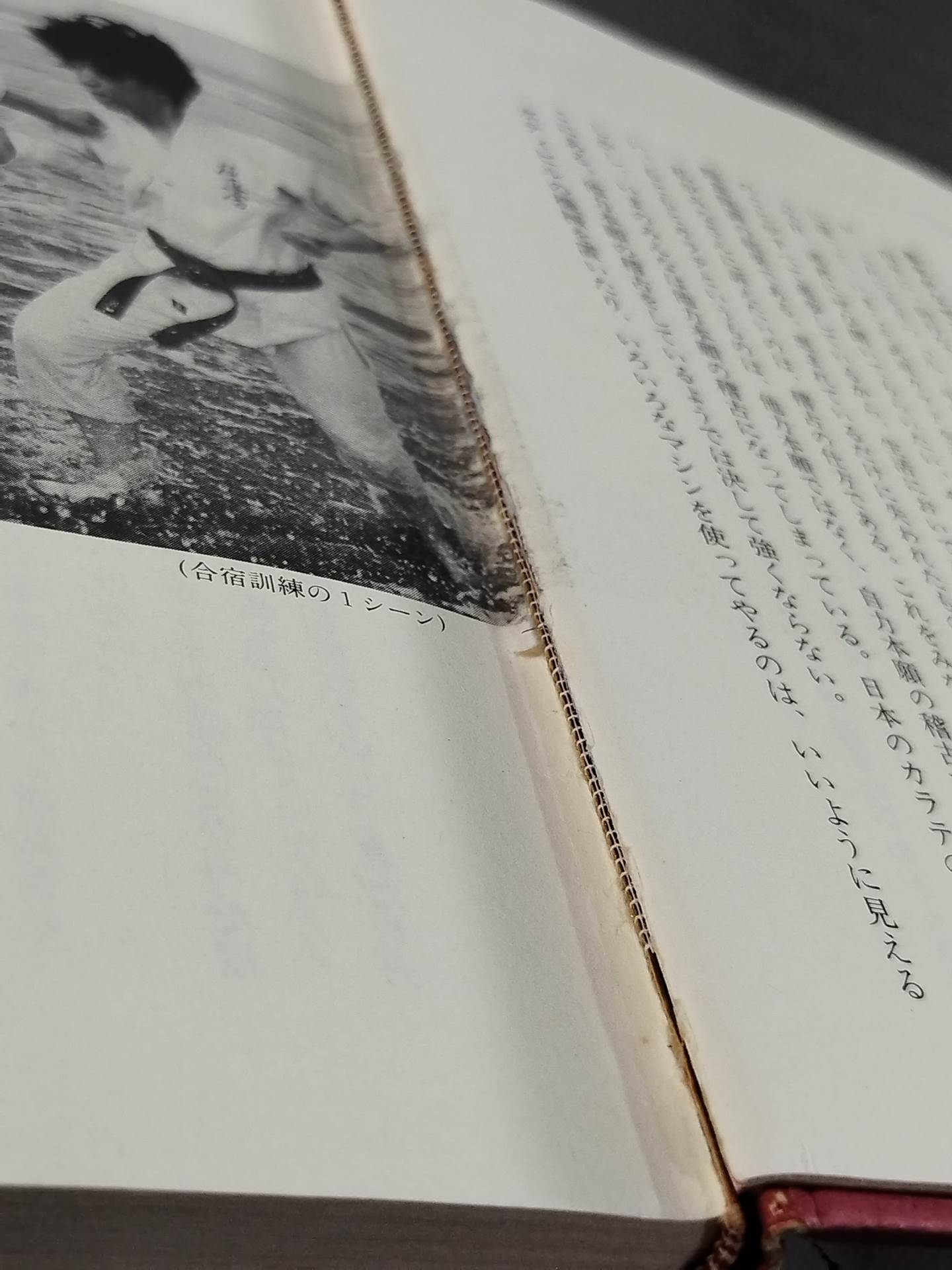 Our KARATE , Proposal to Japan The Alarm of the General Marshal at the Top of 12 Million!