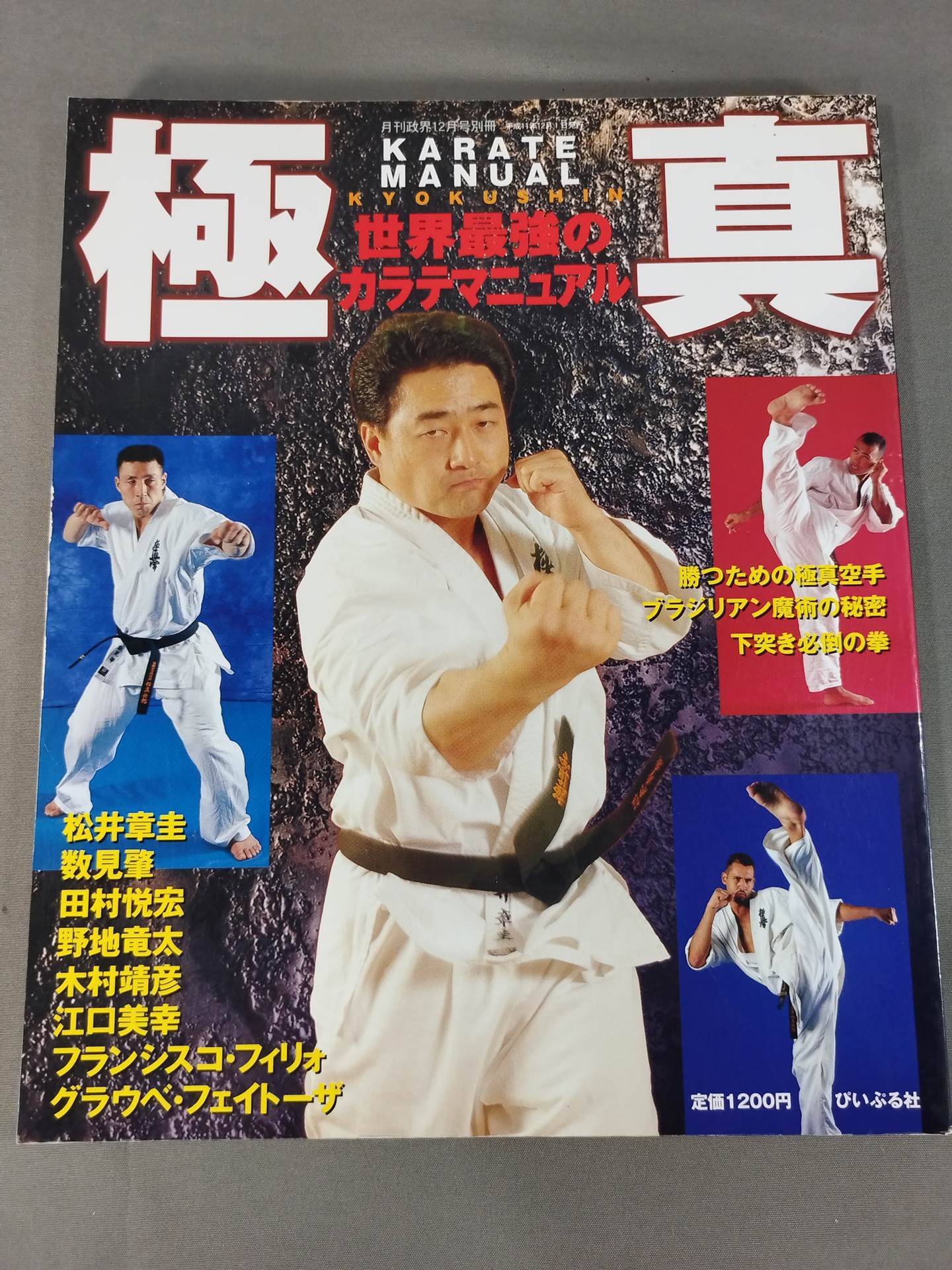 極真 世界最強のカラテマニュアル
