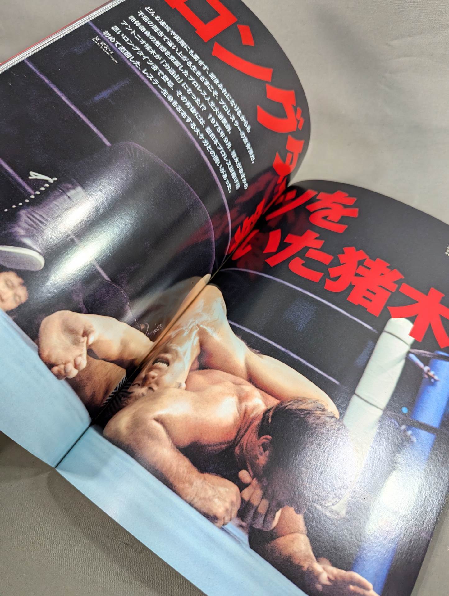 日本プロレス事件史 Vol.28 地獄からの生還