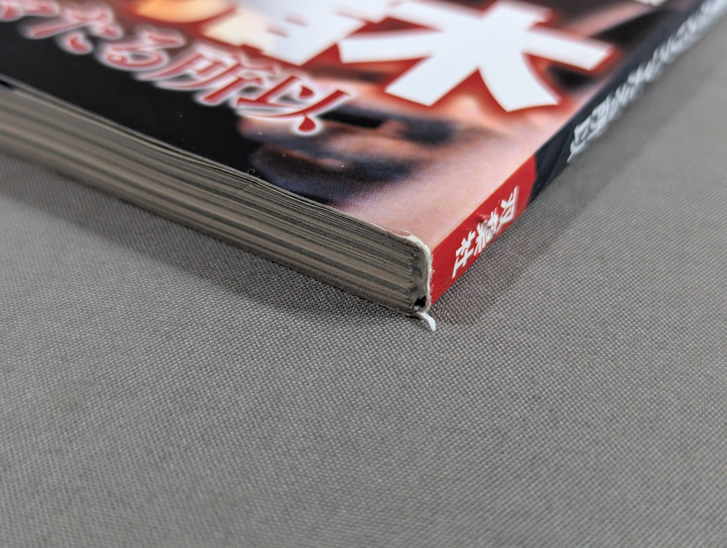 俺たちのプロレス Vol.3 平成のアントニオ猪木