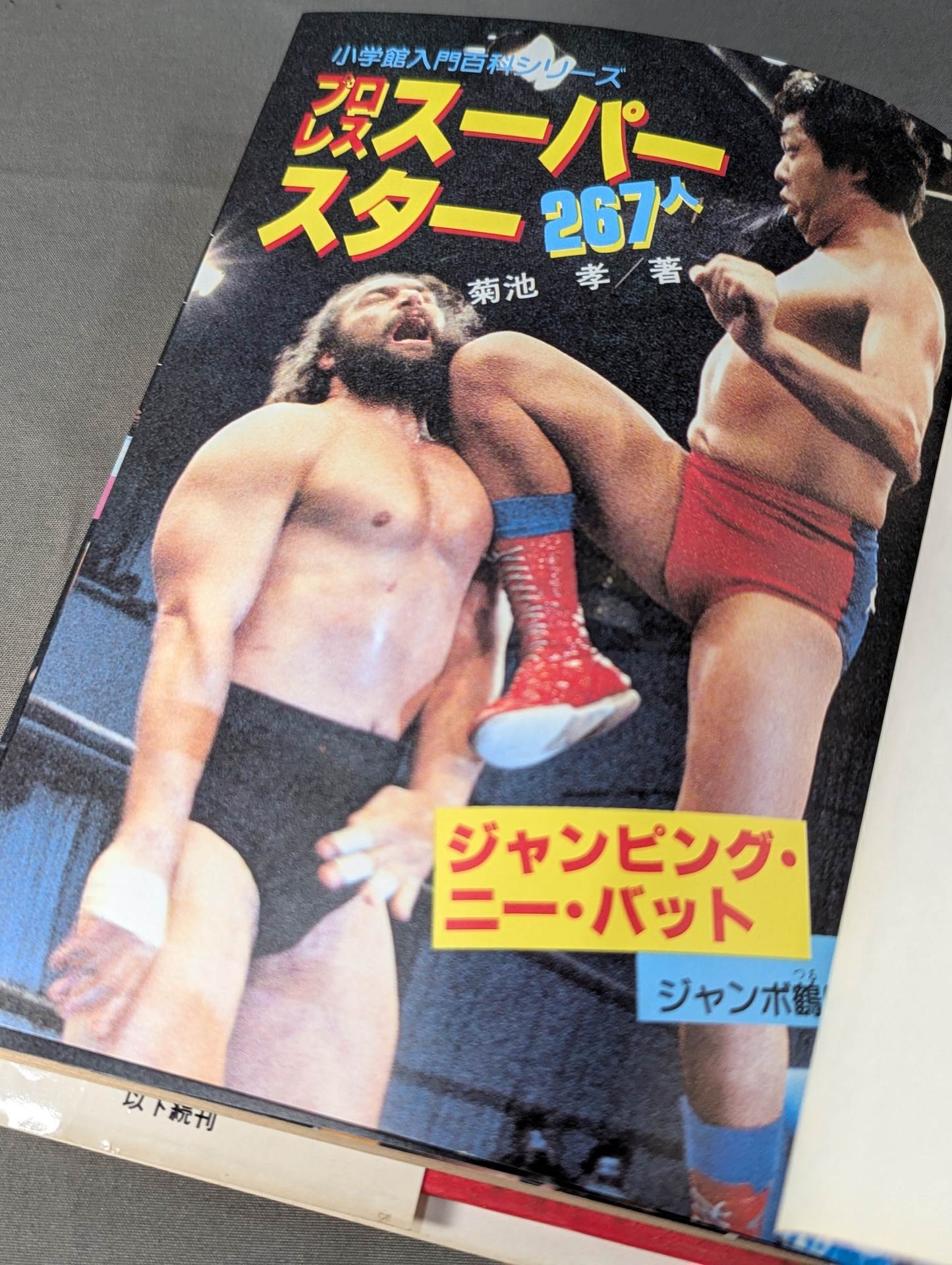 Pro Wrestling Super Stars 267 Shogakukan Introductory Encyclopedia Series 146