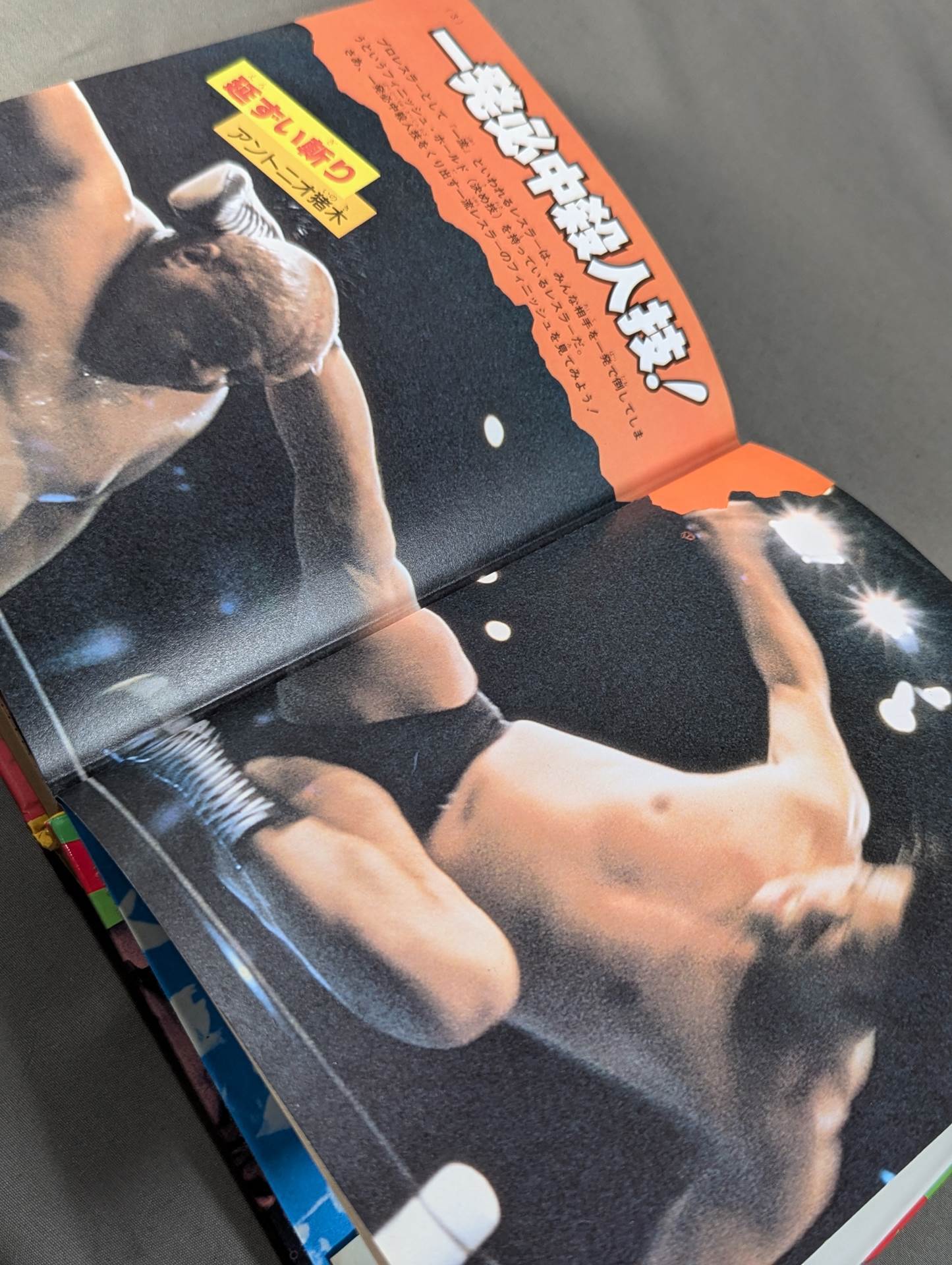 Pro Wrestling Super Stars 267 Shogakukan Introductory Encyclopedia Series 146