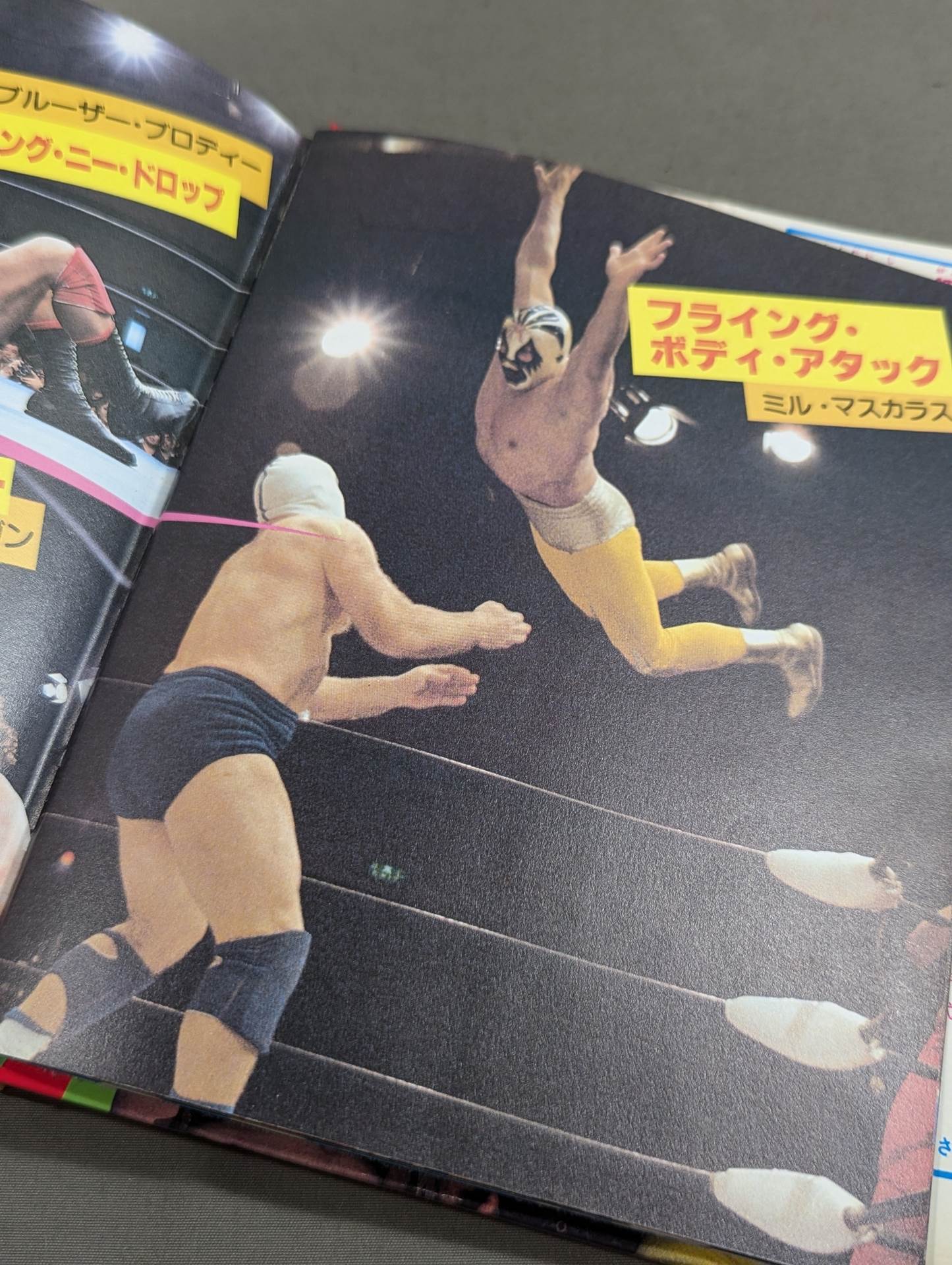Pro Wrestling Super Stars 267 Shogakukan Introductory Encyclopedia Series 146