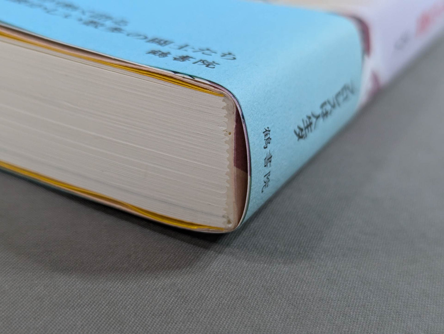 青春のプロレス野郎