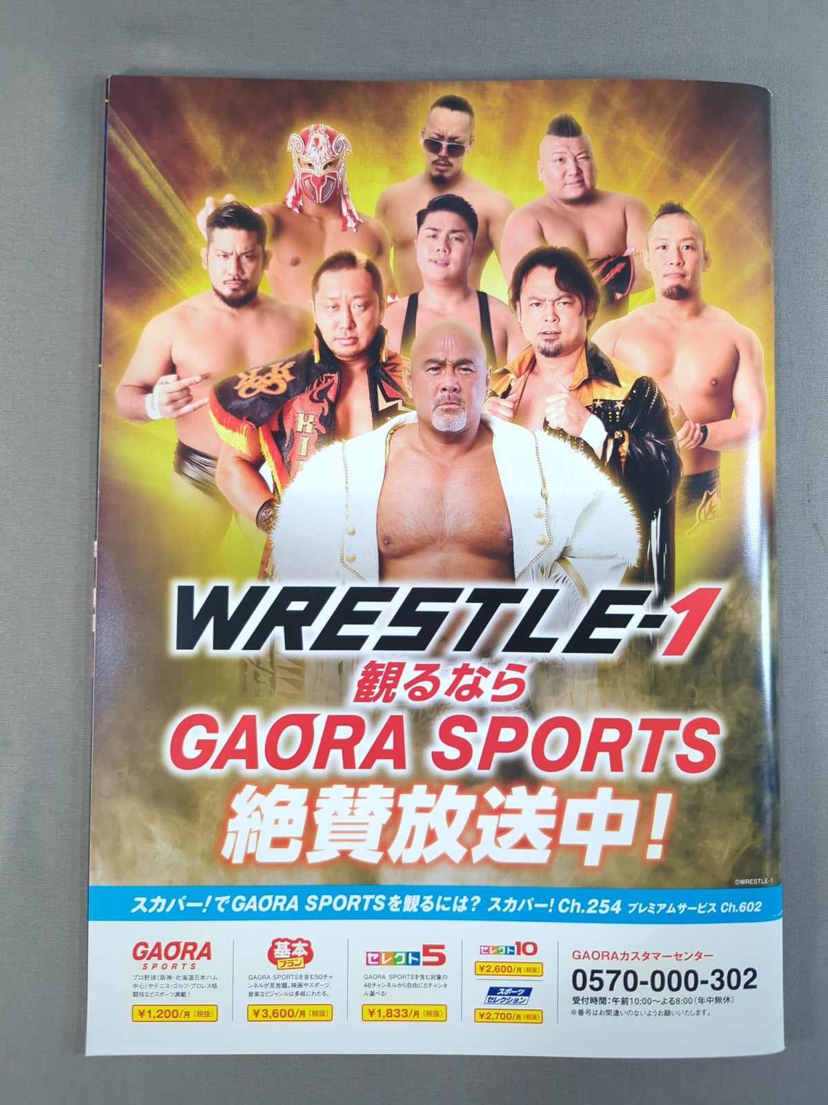 WRESTLE-1 / WONDER CARNIVAL 2019.12.31 IN OSAKA