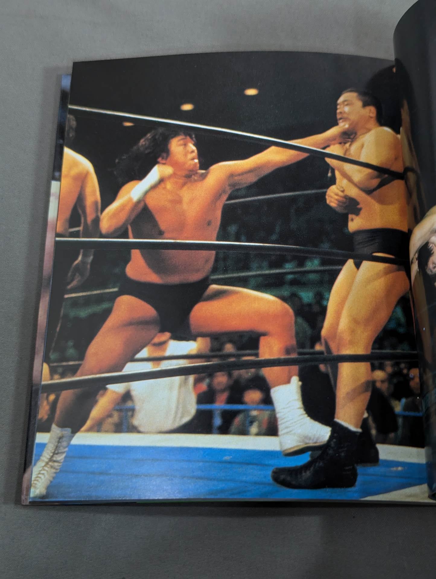 Pro Wrestling photo  Bunko 3 Riki Choshu