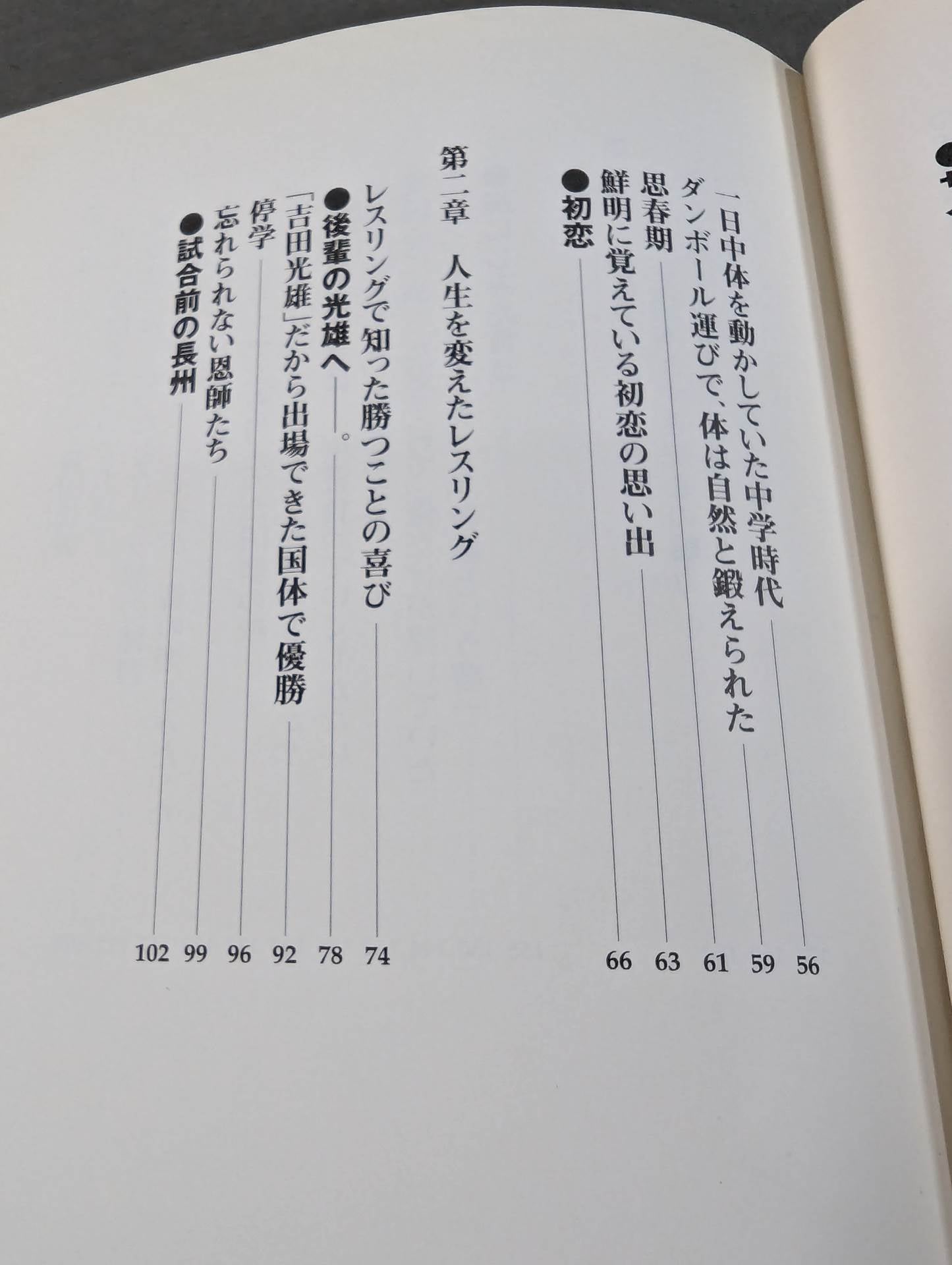 Rebellious ism: The light and shadow of Riki Choshu