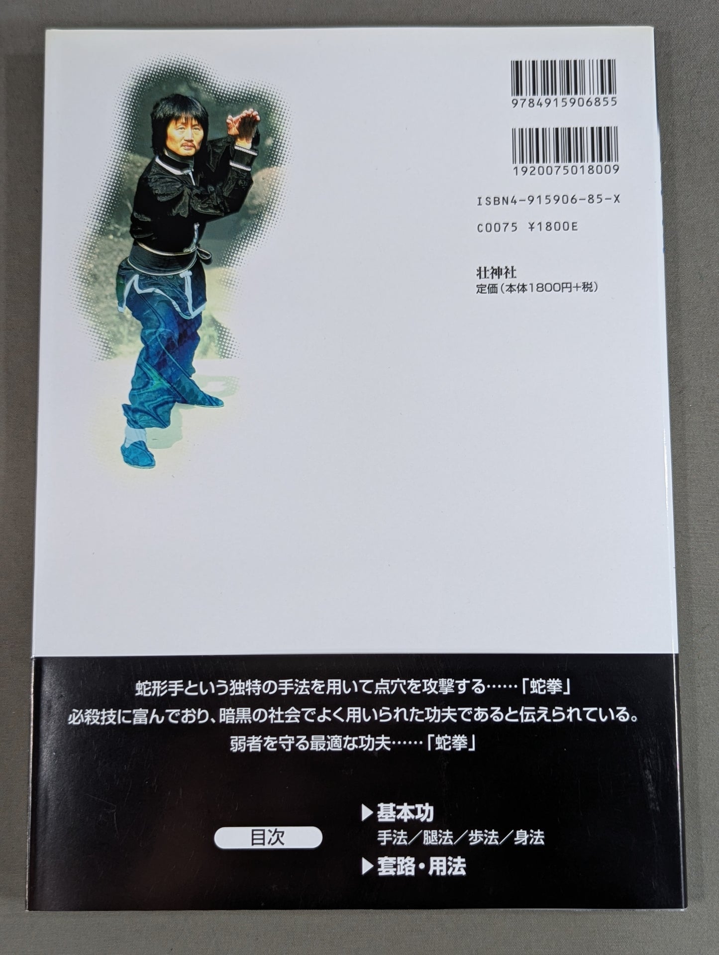 中国拳法 眼鏡王蛇 the king cobra