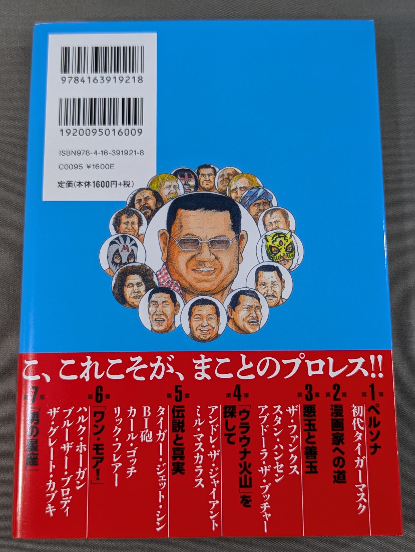 "Pro Wrestling Superstar Retsuden" Secret Record