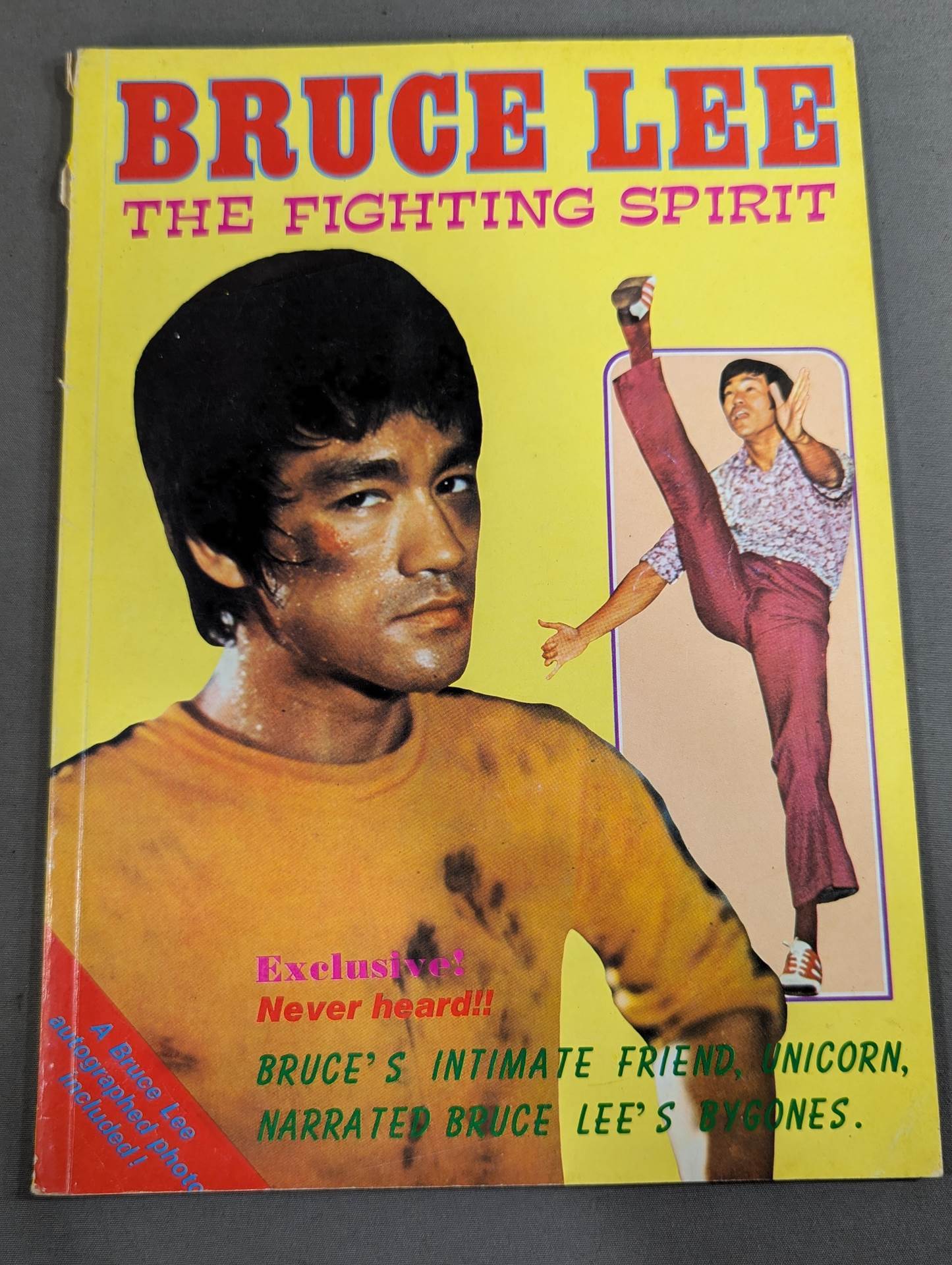 BRUCE LEE THE FIGHTING SPIRIT