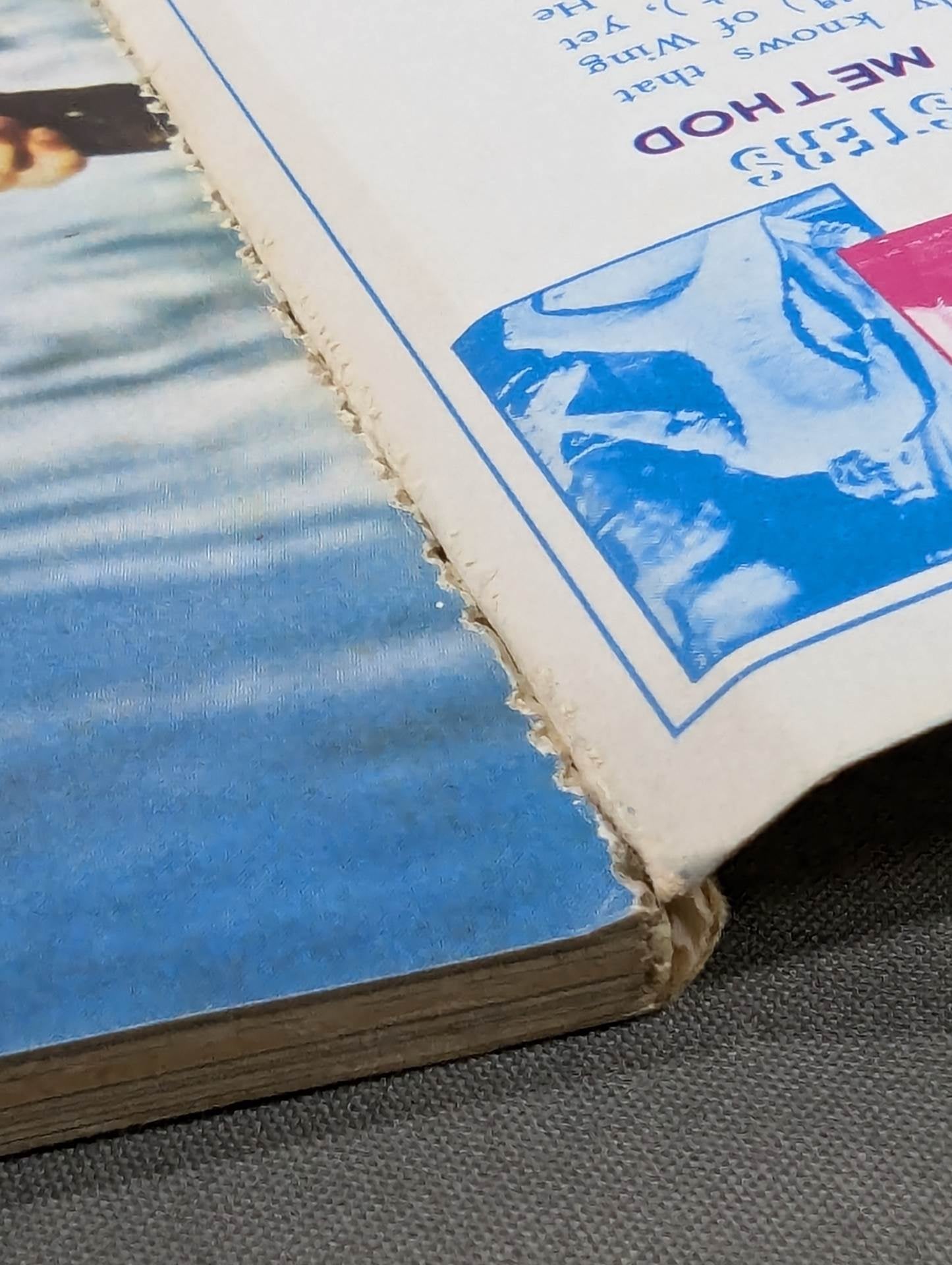 BRUCE LEE THE FIGHTING SPIRIT