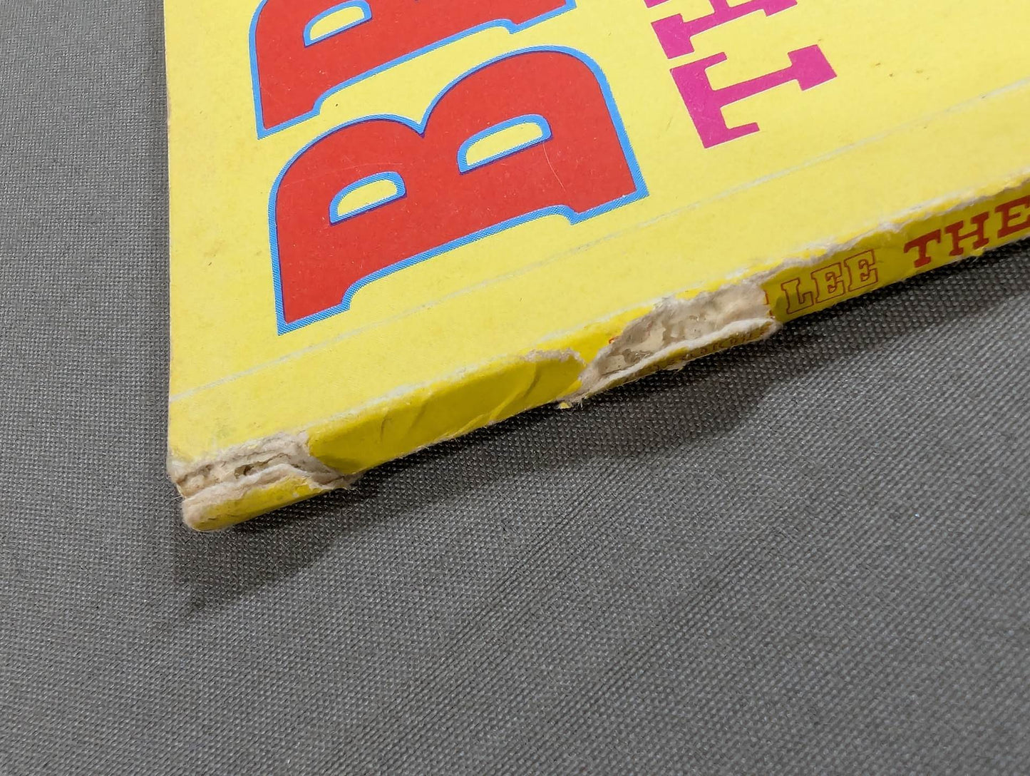 BRUCE LEE THE FIGHTING SPIRIT