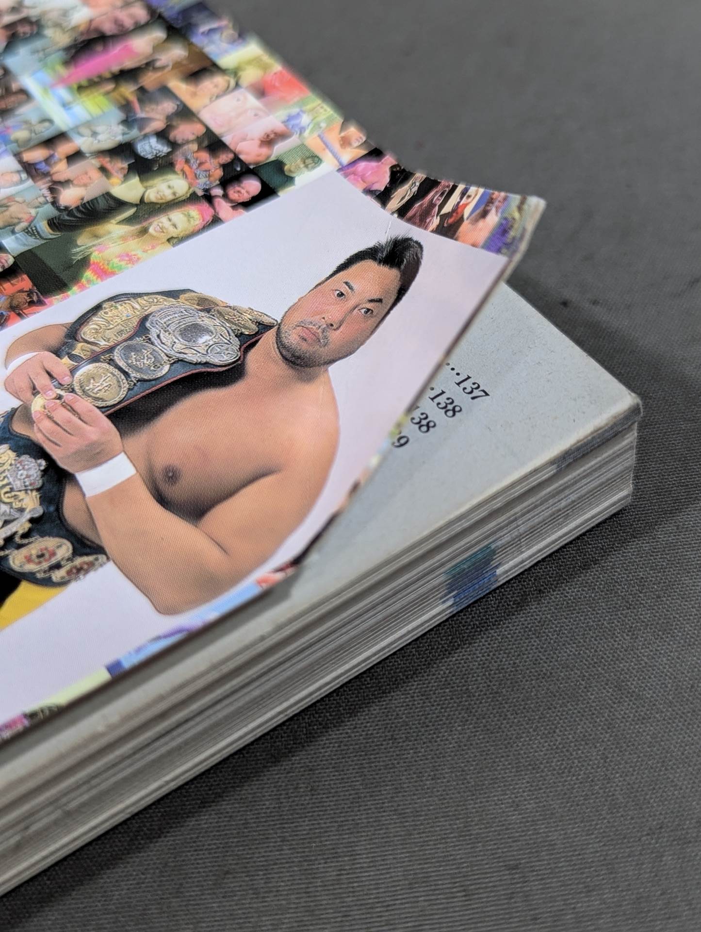 2004ゴング プロレスカラー名鑑