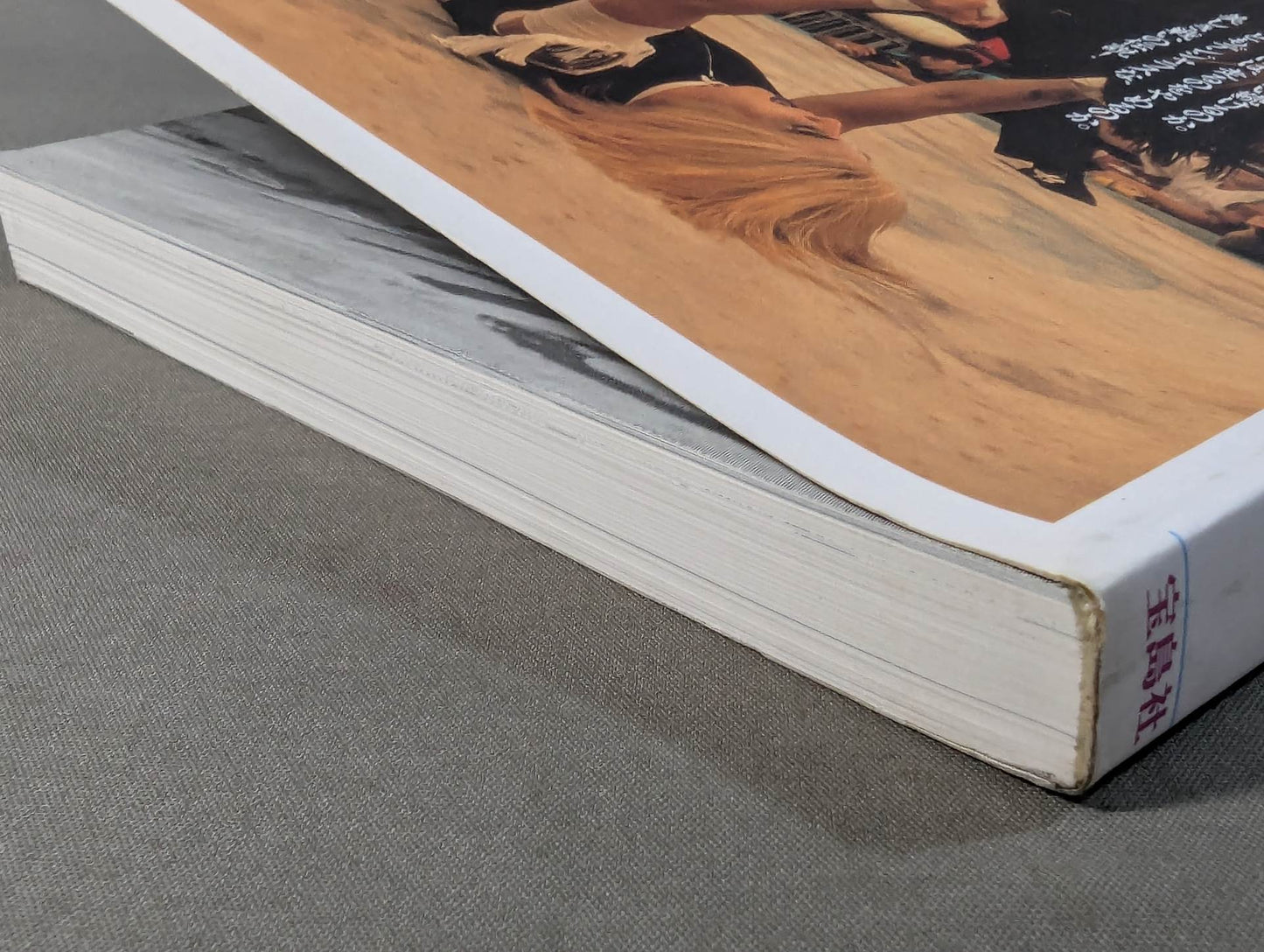 別冊宝島EX 決定版!女子プロレス読本