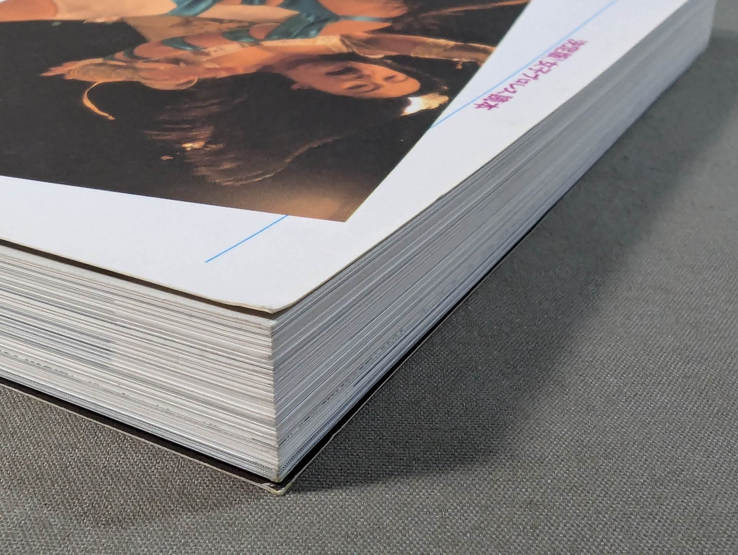 別冊宝島EX 決定版!女子プロレス読本