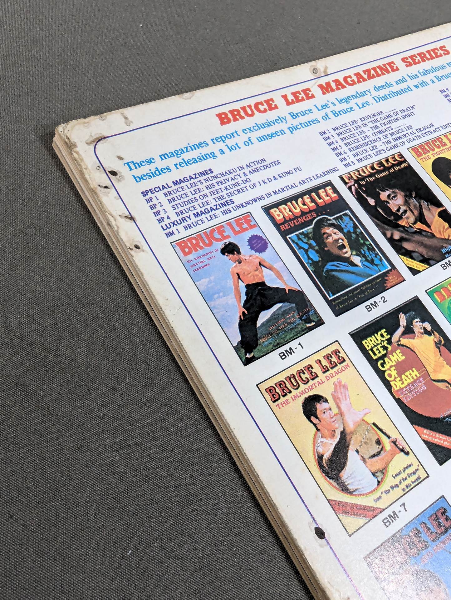 BRUCE LEE HIS PRIVACY AND ANECDOTES