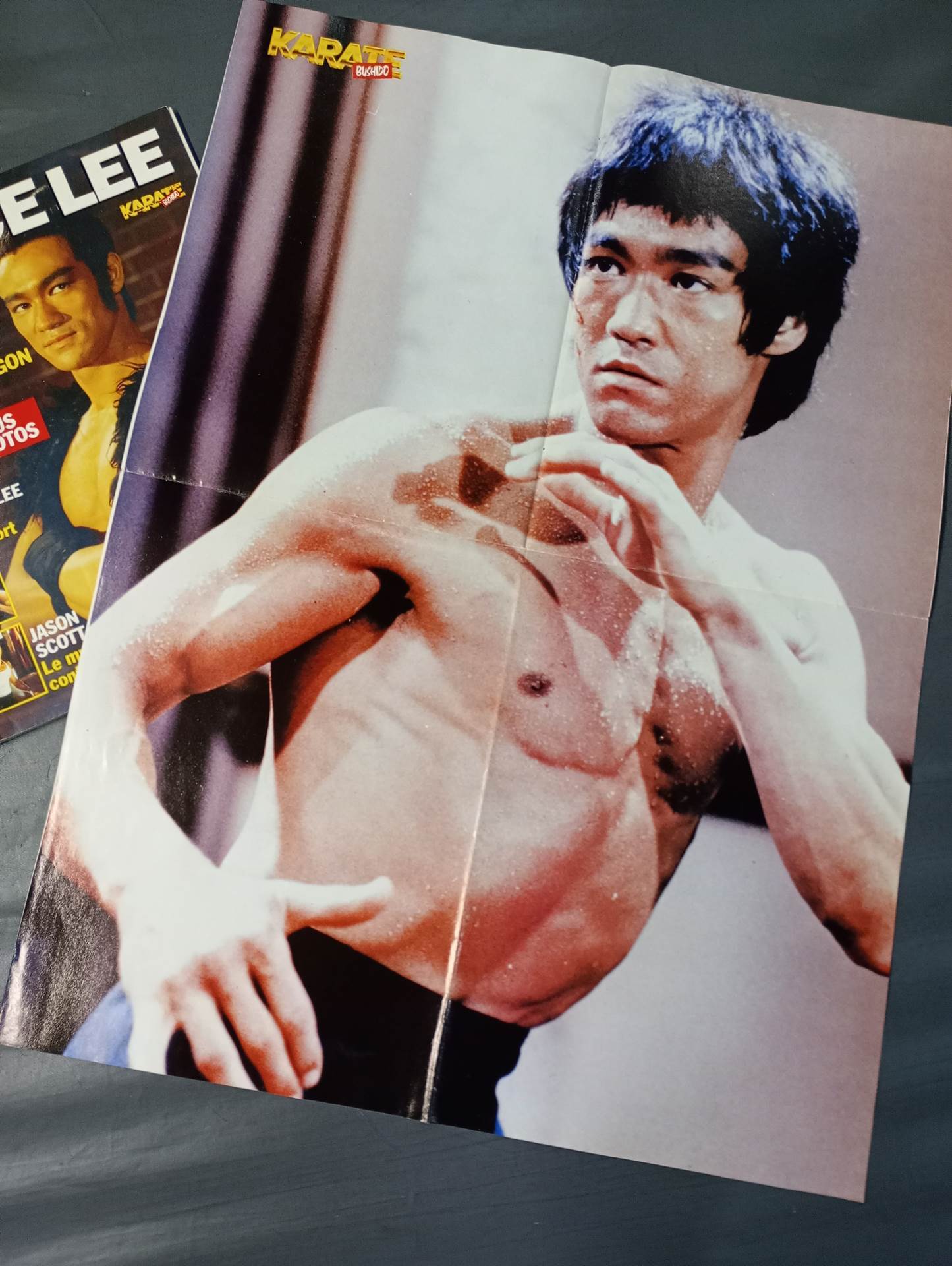 BRUCE LEE KARATE BUSHI DO SPECIAL 20e ANNIVERSAIRE