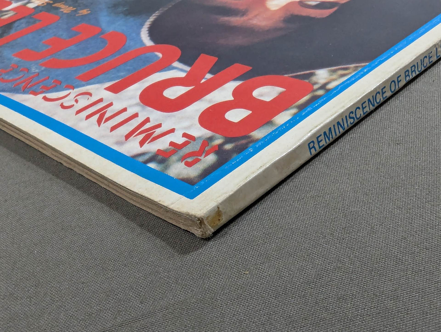 REMINISCENCE OF BRUCE LEE