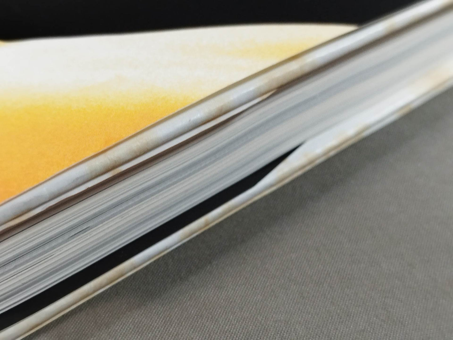 Shinya Hashimoto's will