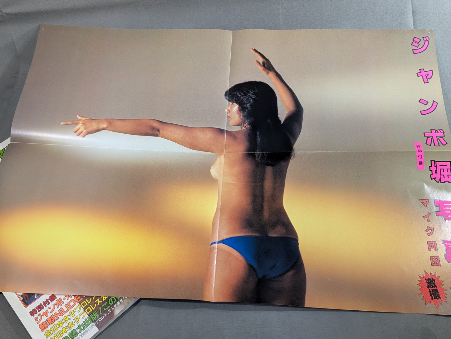 ジャンボ堀 写真集 女子プロレス青春ドラマ / チャンピオン・ハイウェイ