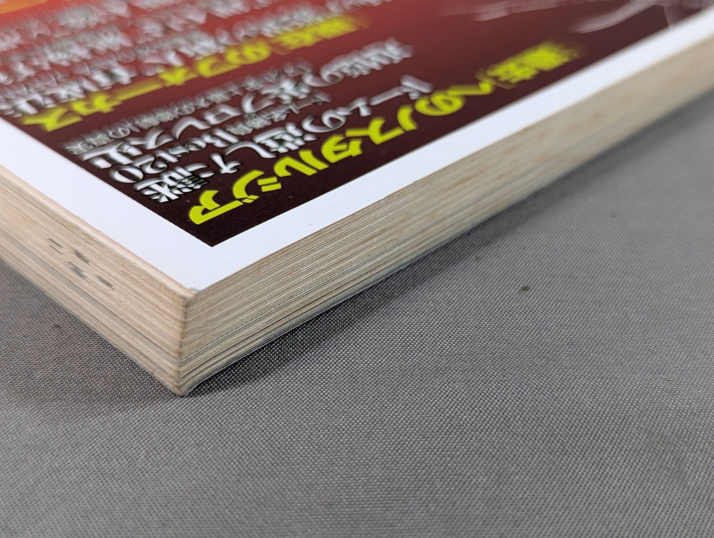 Separate volume Takarashima Special Compilation Pro Wrestling Reading Book Files Vol.1