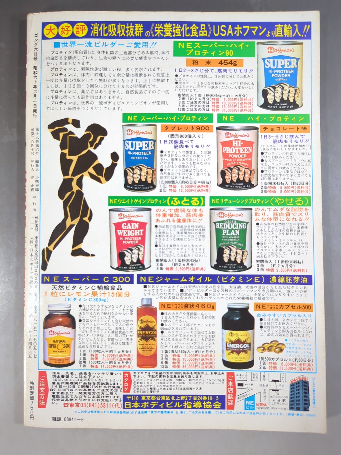 月刊ゴングVol.18 No.6