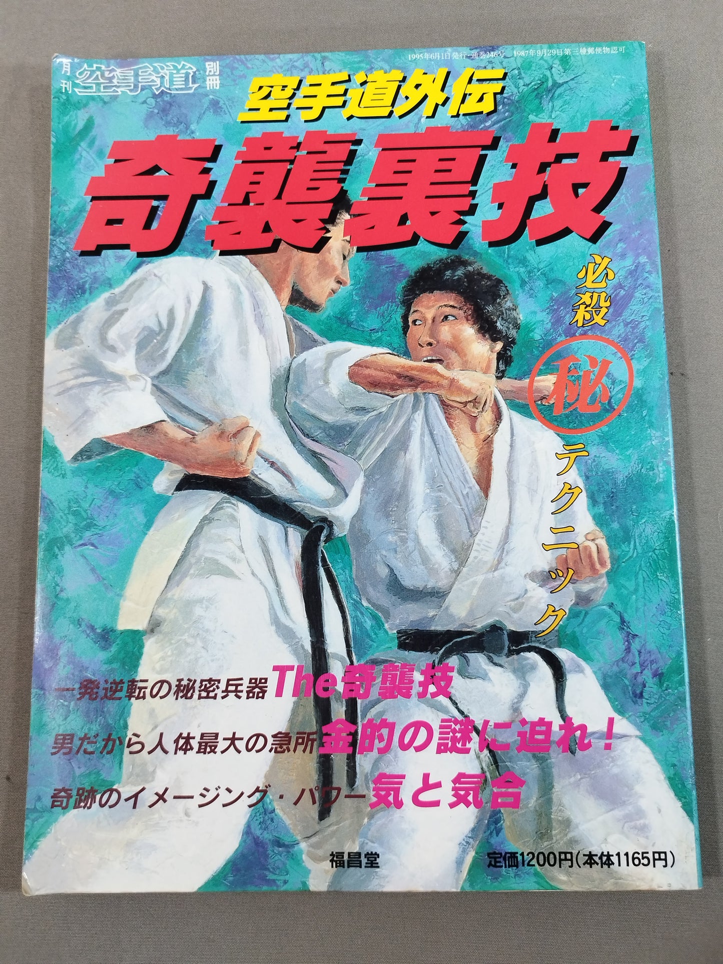 KARATE Dōgaiden Surprise Trick Special Killing ㊙ Technique