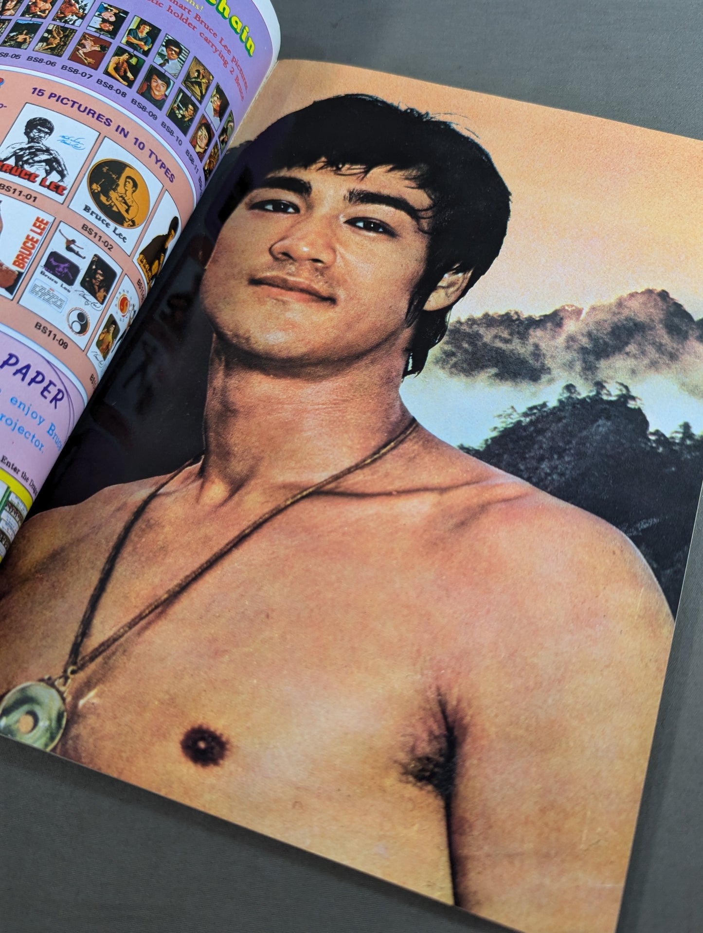 MYSTERY OF BRUCE LEE