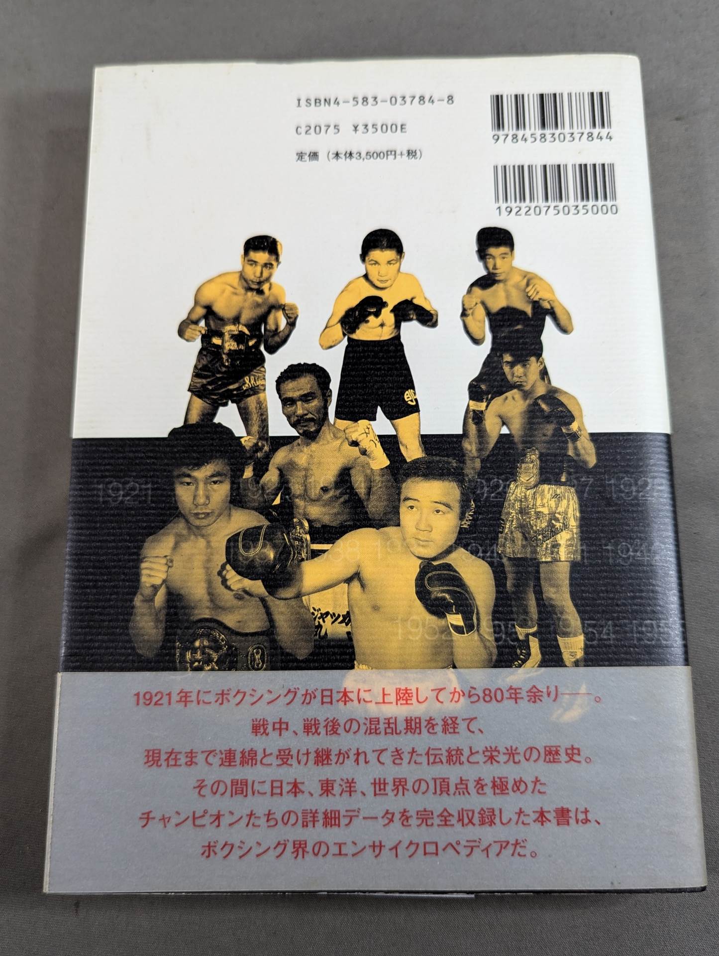 Japan Professional Boxing Champion Grand Encyclopedia