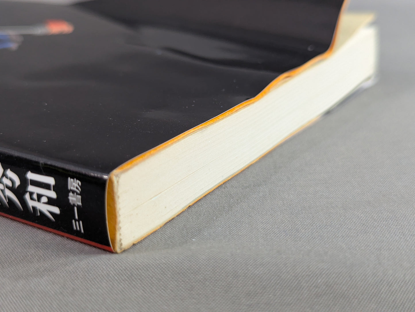 Outside the ring is full of dangers Kero's New Japan Pro Wrestling travel diary