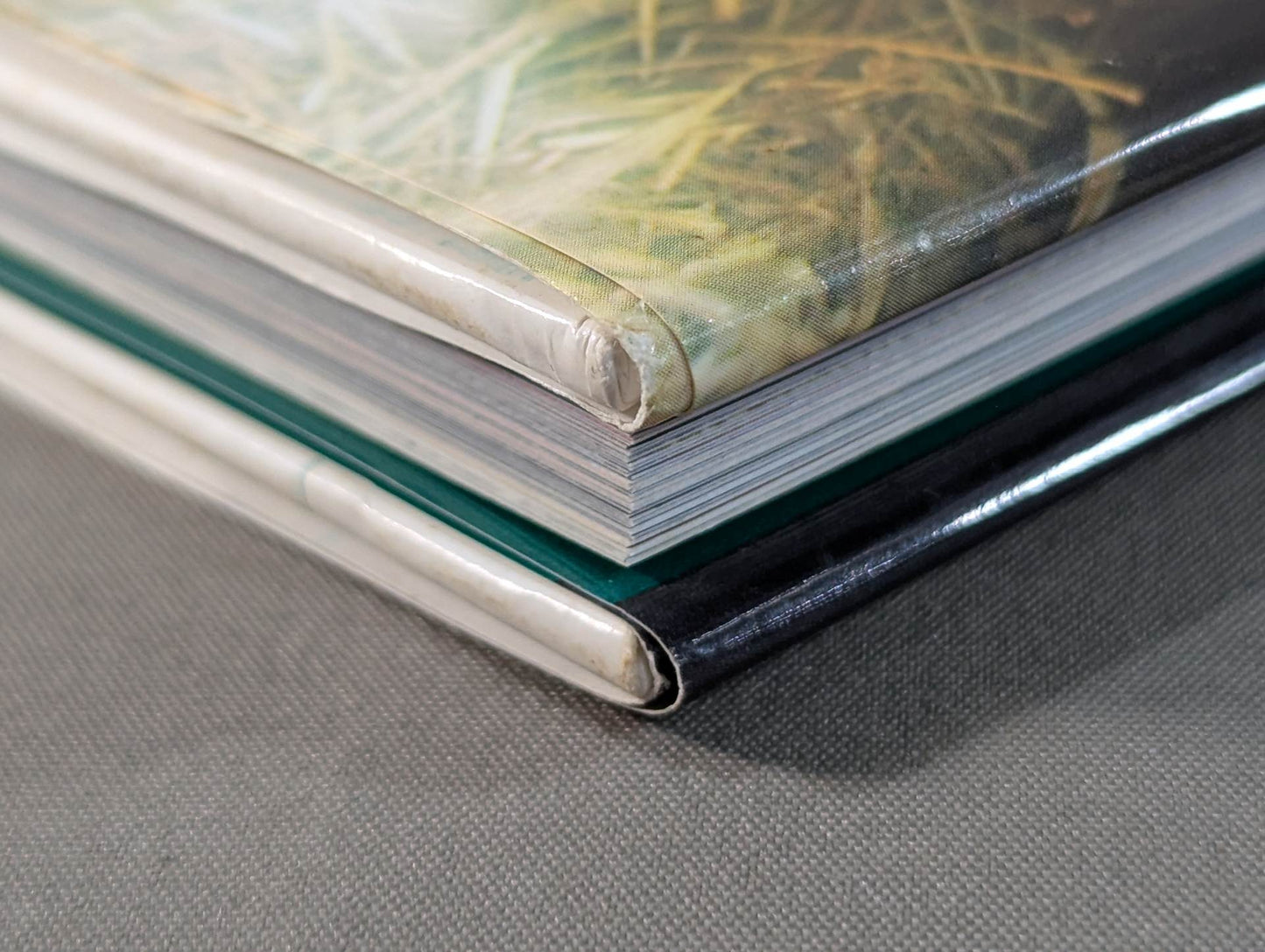 【直筆サイン入り】浜田文子 写真集 VALENTINA