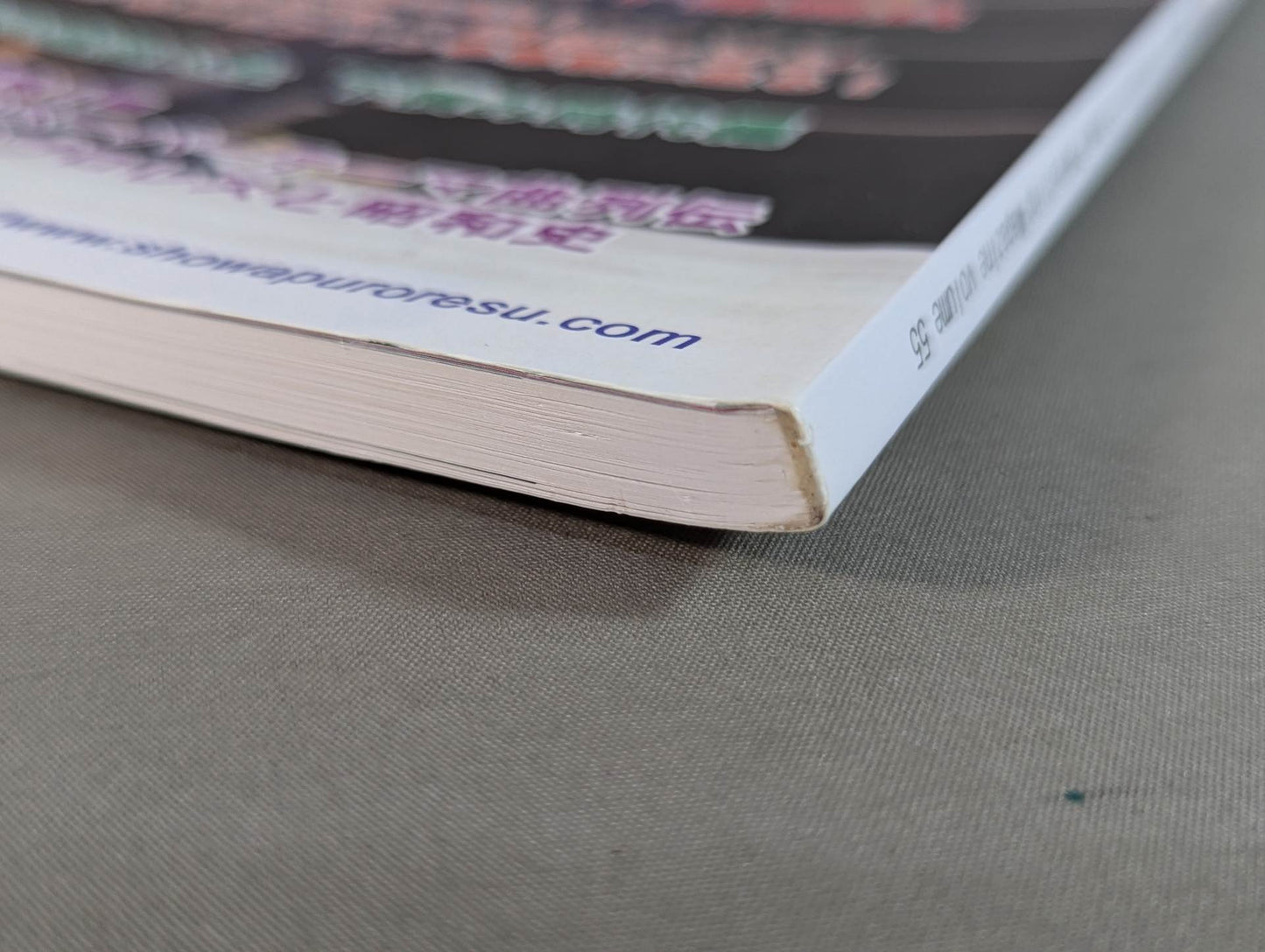 Dr. Mick's Showa Pro Wrestling Magazine No. ★ 55 Tsuruta Hiryu Juban Match & Robinson ★ in 1975