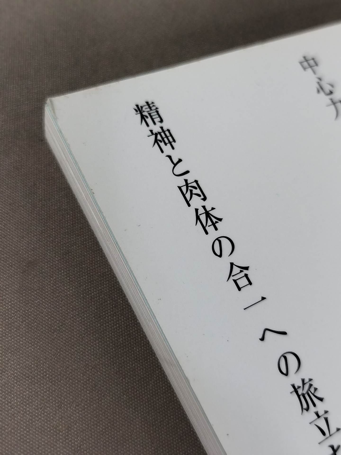 図解 肥田式簡易強健術