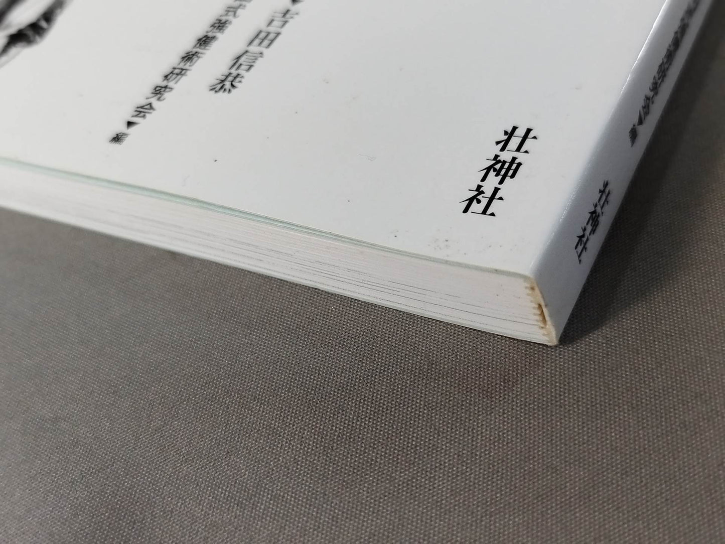 図解 肥田式簡易強健術