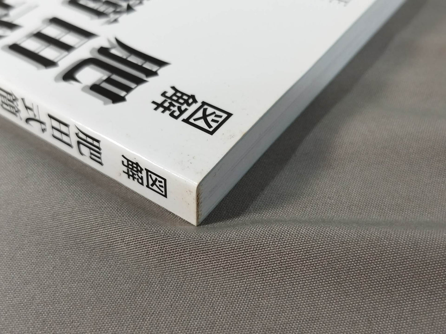 図解 肥田式簡易強健術