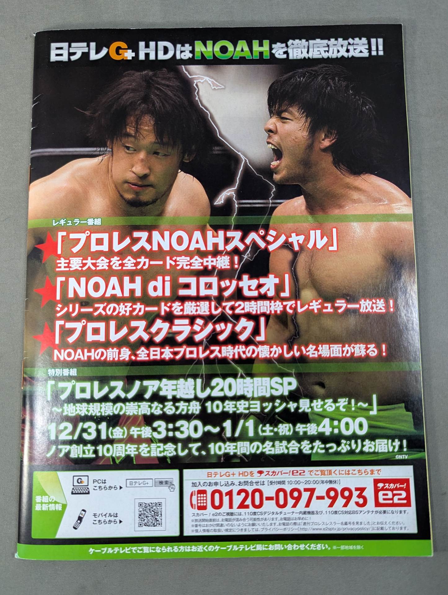 Pro Wrestler Color Photos Directory 2011