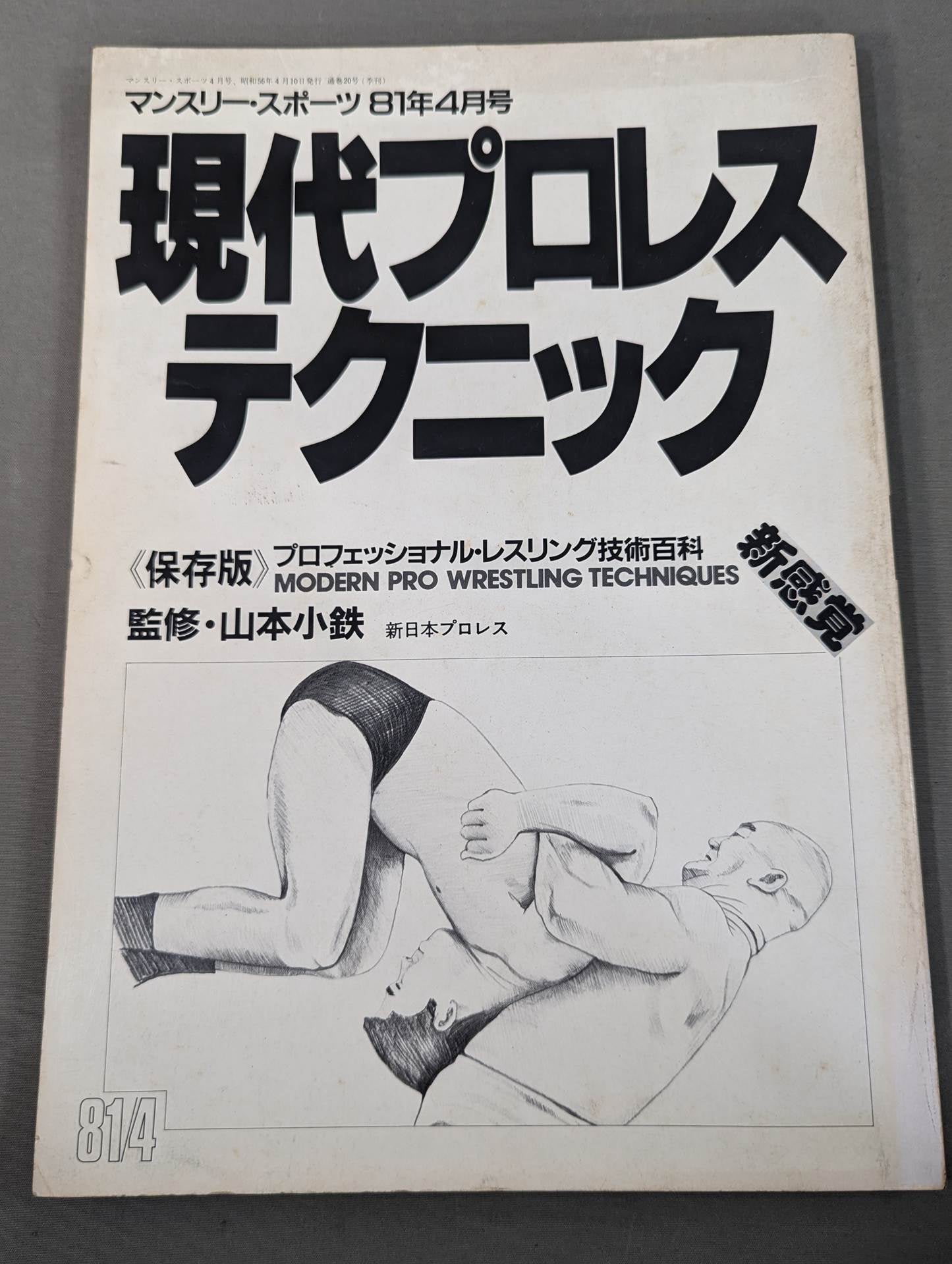 現代プロレステクニック 《保存版》プロフェッショナル・レスリング技術百科