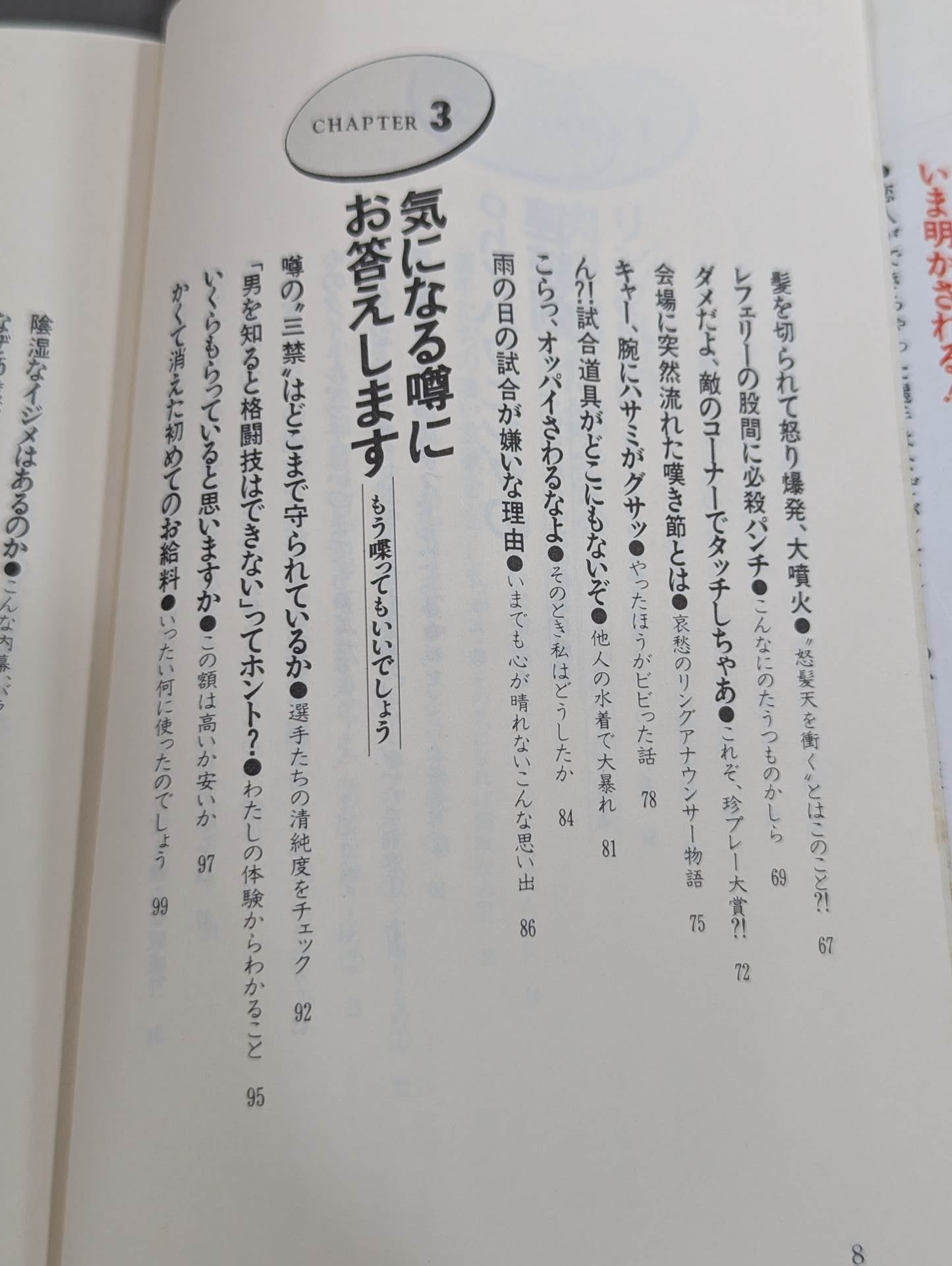 女子プロレス、ここまで喋っていいかしら