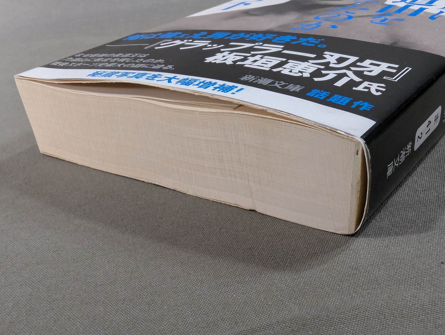 木村政彦はなぜ力道山を殺さなかったのか(下)